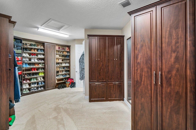 walk in closet featuring light carpet