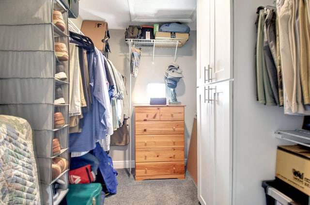 walk in closet featuring carpet floors