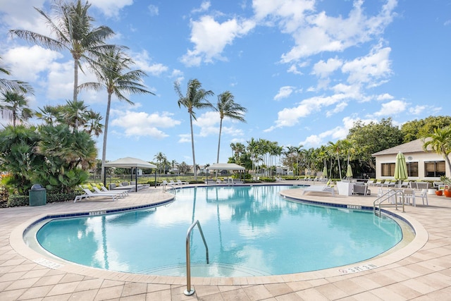 view of swimming pool featuring a patio