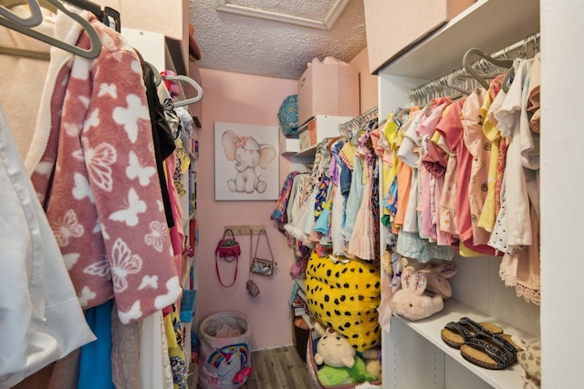 spacious closet with hardwood / wood-style flooring