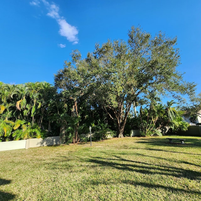 view of yard