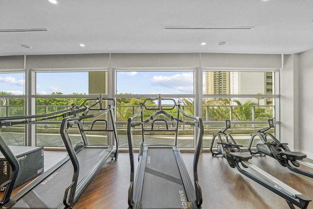 workout area featuring a wealth of natural light and dark wood-type flooring