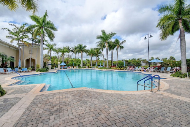 view of swimming pool featuring a patio