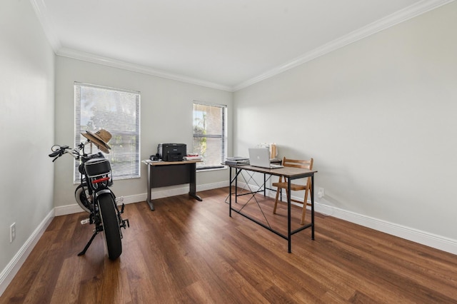 office space with baseboards, wood finished floors, and ornamental molding