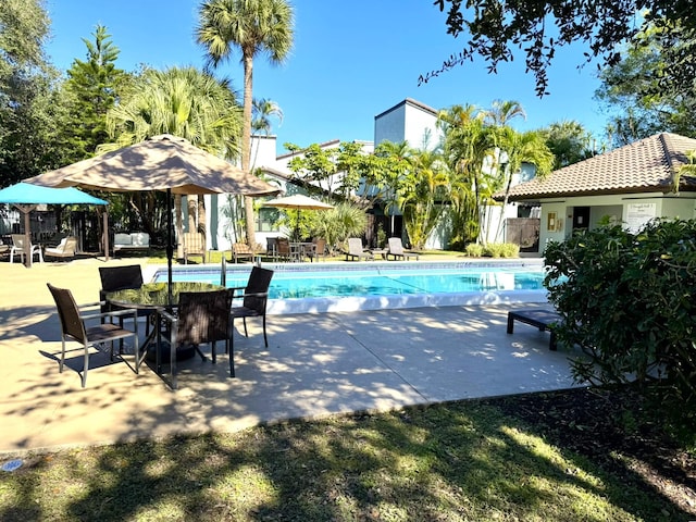 view of swimming pool featuring a patio