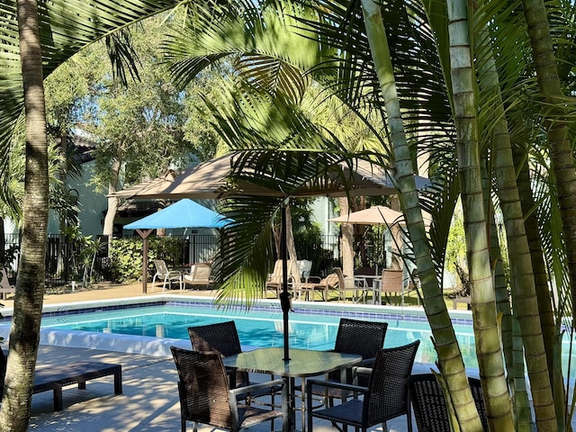 view of swimming pool featuring a patio area