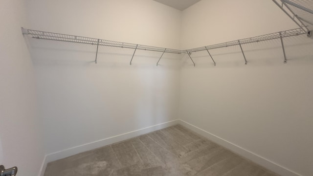 walk in closet featuring carpet