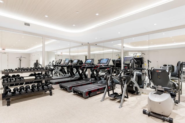 exercise room featuring a raised ceiling and light colored carpet