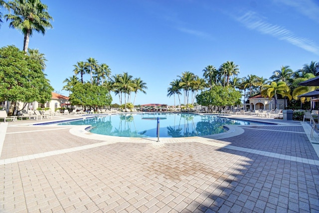 view of pool with a patio