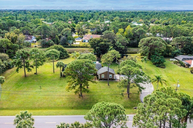 bird's eye view