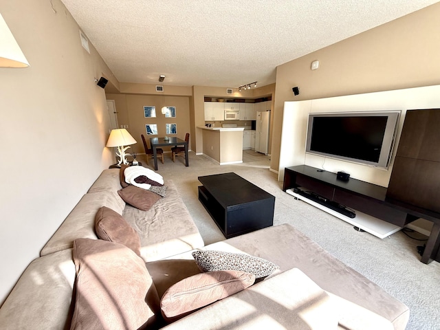 living area featuring a textured ceiling, rail lighting, and light colored carpet