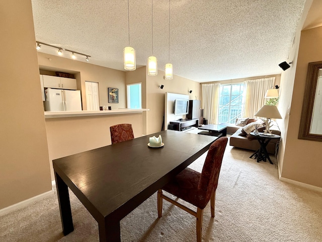 dining room with light carpet, a textured ceiling, and baseboards