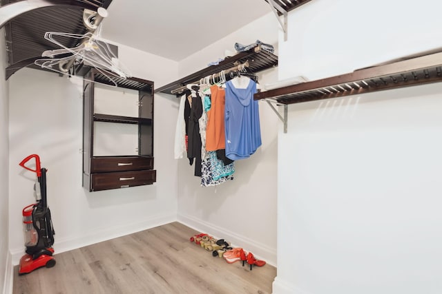 spacious closet featuring light hardwood / wood-style flooring