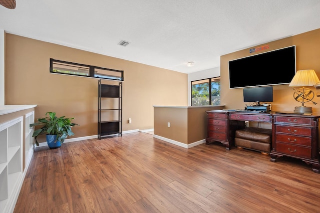 living room featuring wood-type flooring