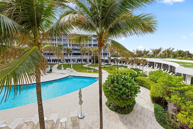 view of swimming pool featuring a yard and a patio area