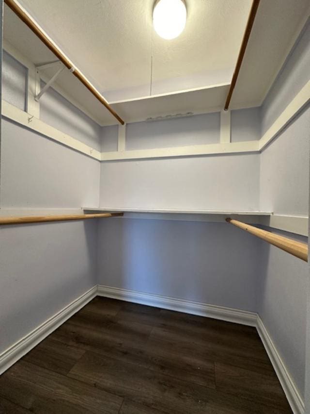 spacious closet with dark hardwood / wood-style flooring