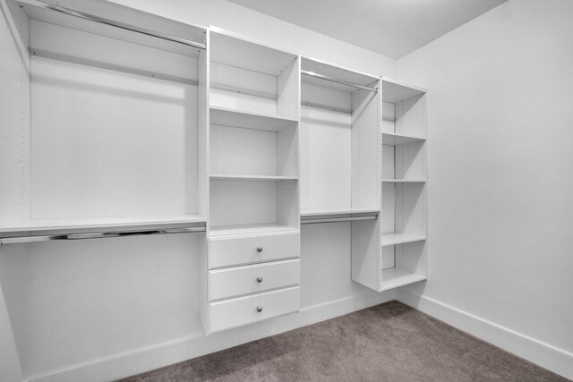 walk in closet with light carpet