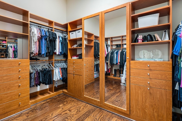 walk in closet featuring dark hardwood / wood-style flooring