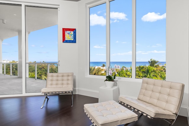 sitting room featuring a water view and wood-type flooring