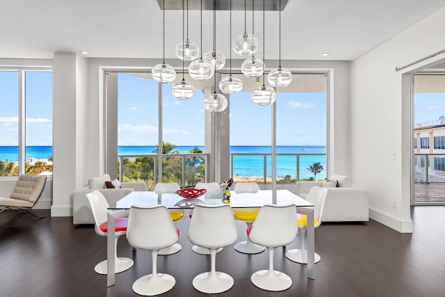 dining room with plenty of natural light, dark hardwood / wood-style flooring, and a water view