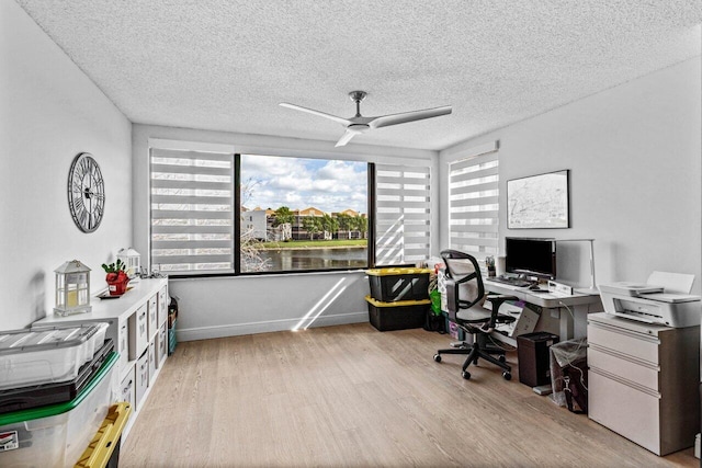 office featuring ceiling fan, light wood-type flooring, and a textured ceiling