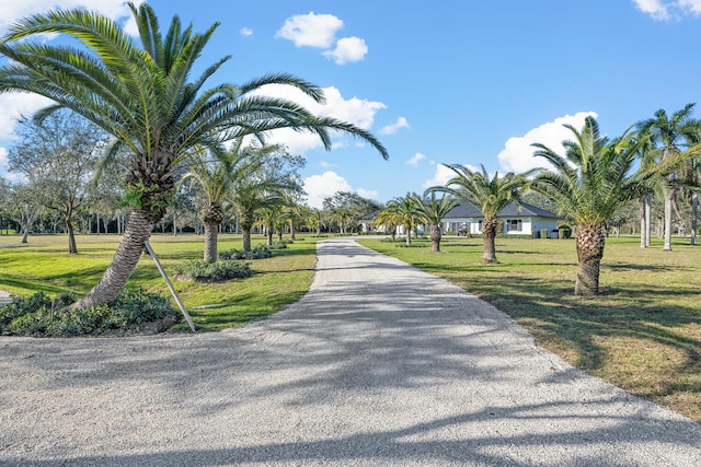 view of road