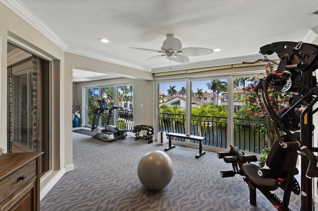 workout area featuring carpet, ceiling fan, and crown molding