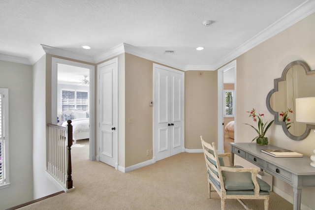 carpeted office space featuring ornamental molding and a textured ceiling