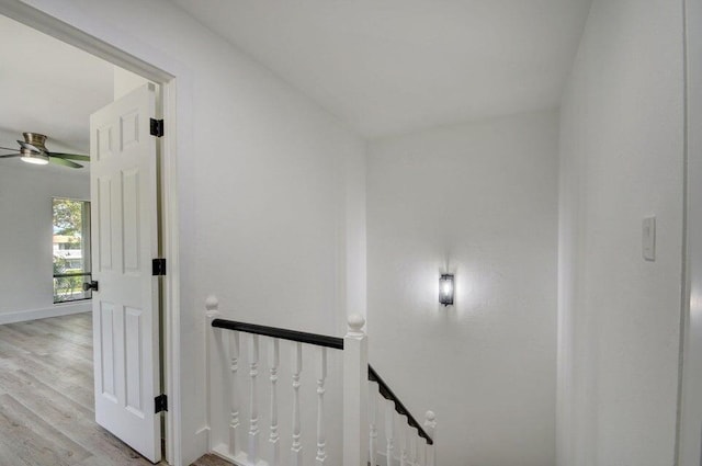 stairway featuring wood-type flooring