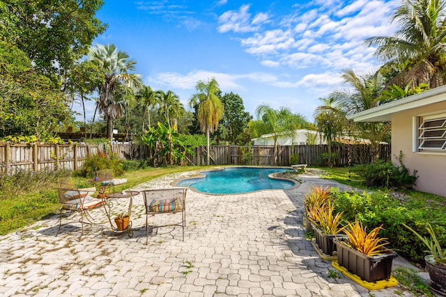 view of swimming pool featuring a patio