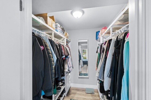 walk in closet with light wood-type flooring