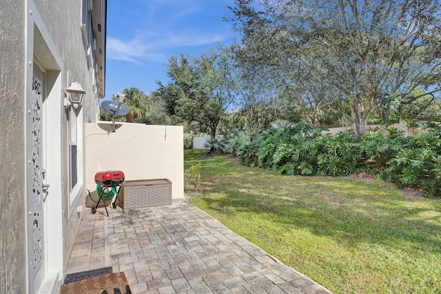 view of yard featuring a patio area