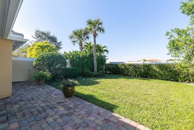 view of yard with a patio area