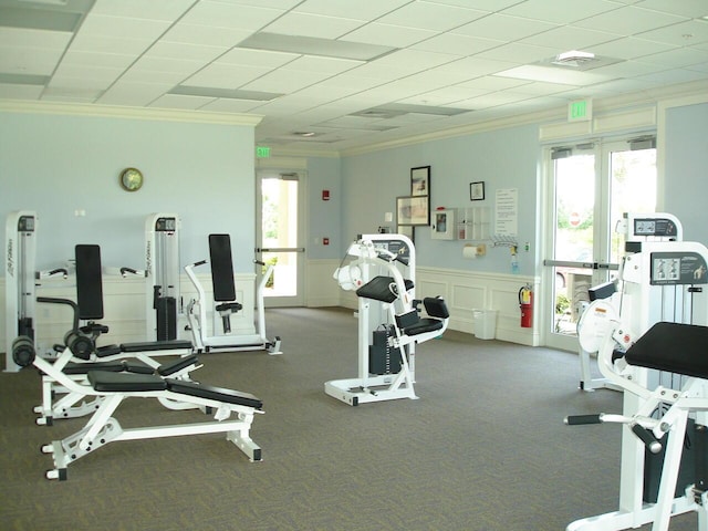 workout area featuring carpet flooring