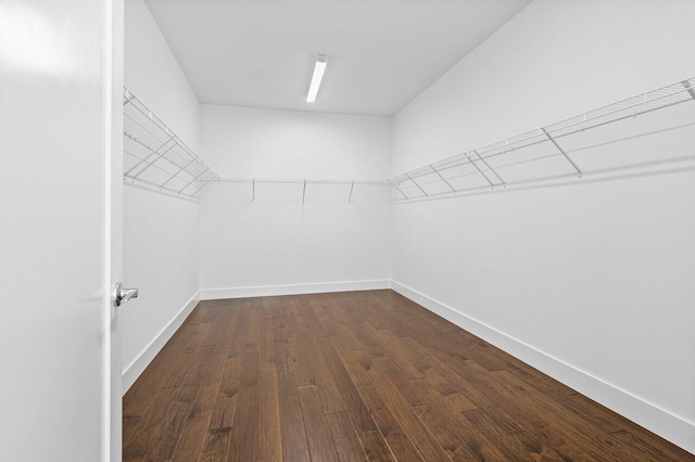 spacious closet with hardwood / wood-style flooring