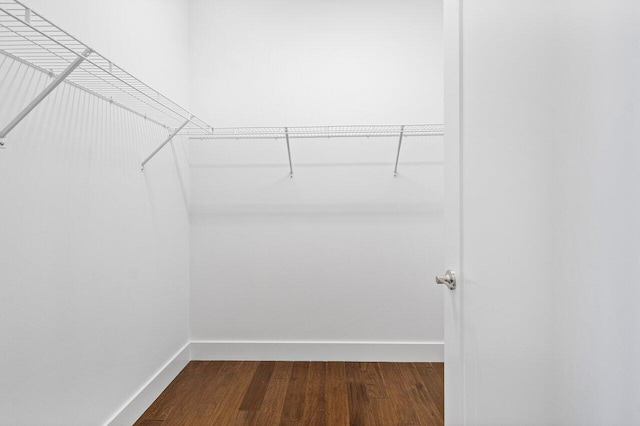 walk in closet featuring dark hardwood / wood-style floors