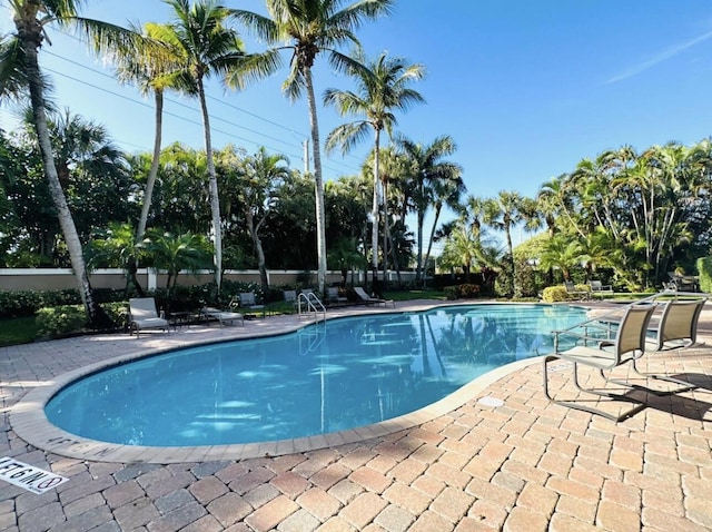 view of pool featuring a patio