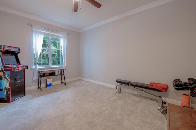 interior space featuring carpet, ceiling fan, and crown molding