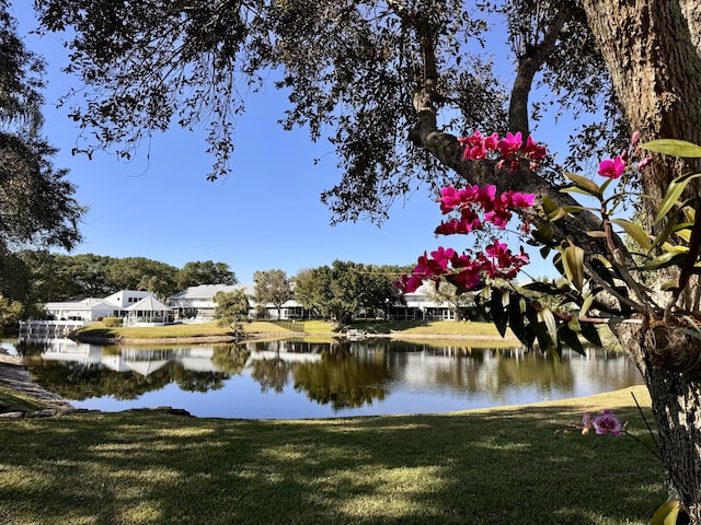 water view