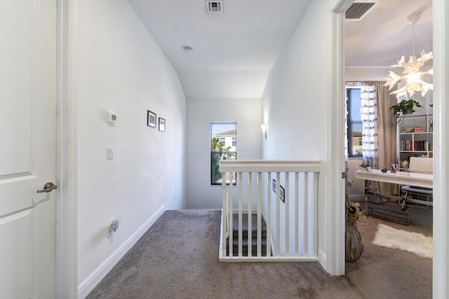 bedroom featuring carpet flooring