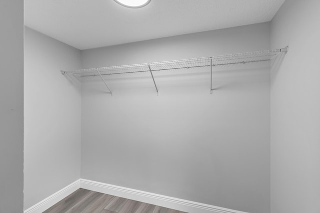 spacious closet featuring hardwood / wood-style floors