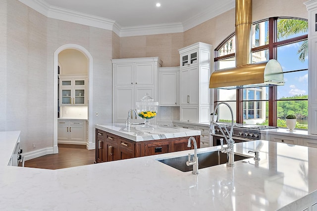 kitchen featuring white cabinetry, a kitchen island with sink, light stone counters, crown molding, and dark wood-type flooring