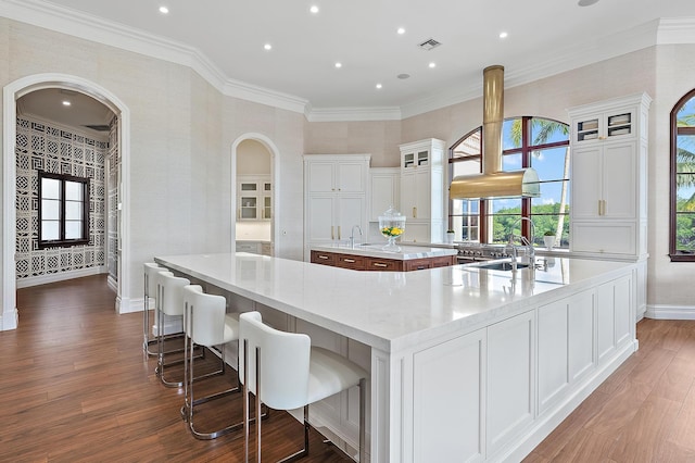 kitchen featuring a spacious island, dark hardwood / wood-style floors, sink, and white cabinets