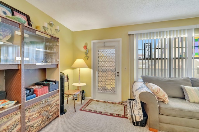 sitting room featuring a textured ceiling and carpet floors