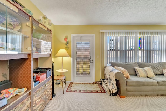 carpeted living room with a textured ceiling