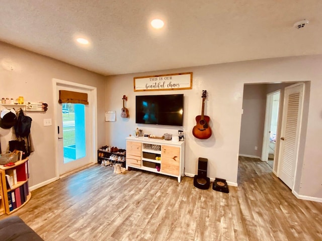 living room with a textured ceiling and hardwood / wood-style flooring