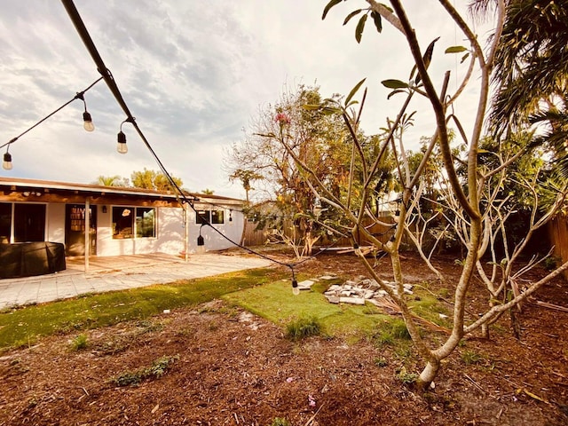 view of yard featuring a patio