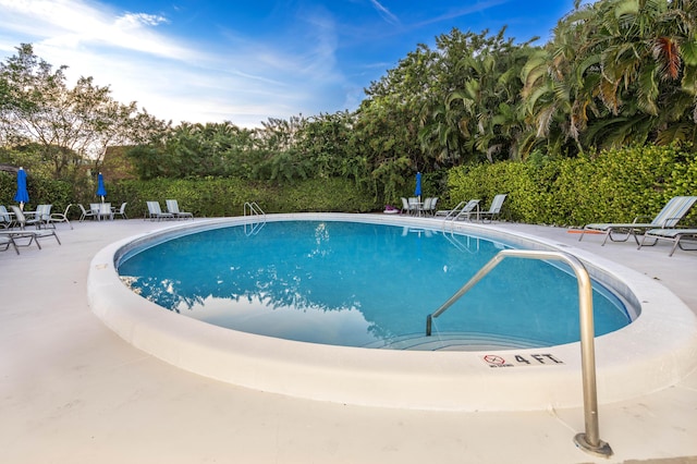 view of pool featuring a patio area