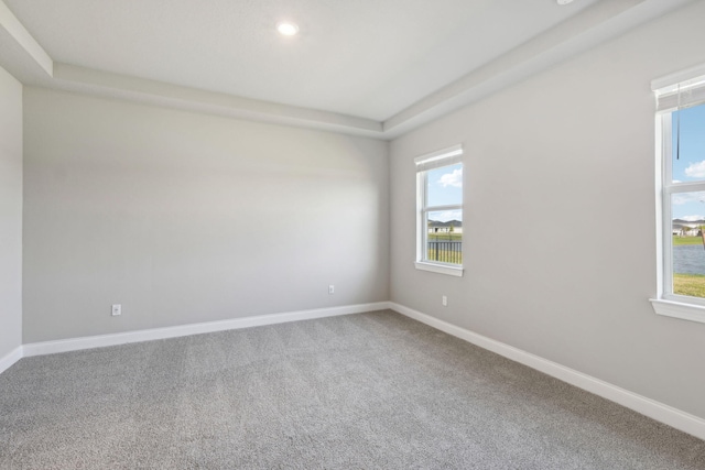 unfurnished room featuring carpet