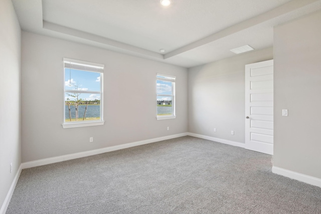 carpeted empty room featuring a raised ceiling